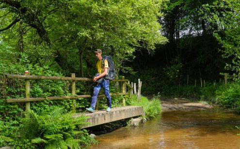 GR 46 - Photo David Genestal
