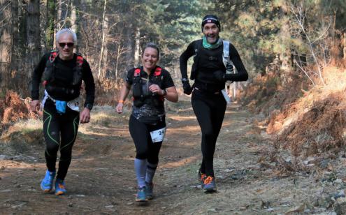 Trail des châtaigniers