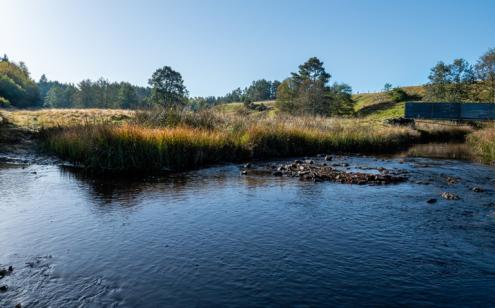 PAPSE Laroche Près Feyt