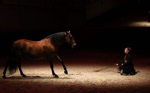 Animations à Pompadour