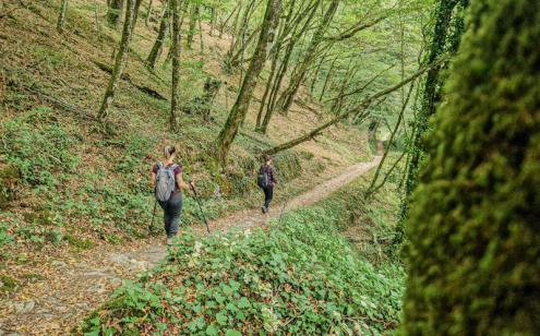 Les Chemins des 3 Corrèzes - Photo Julien Audigier