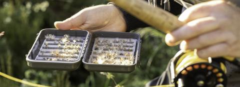 Bien préparer son séjour pêche en Corrèze