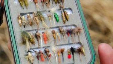 Mouches pour pratiquer la pêche©Josselin Mathiaud