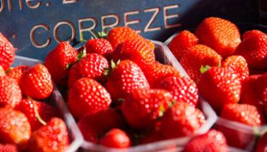 Beaulieu-sur-Dordogne Strawberry festival