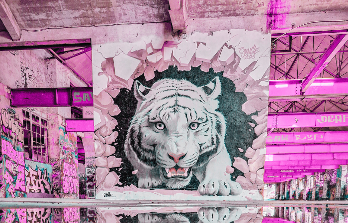 Octobre rose en Corrèze