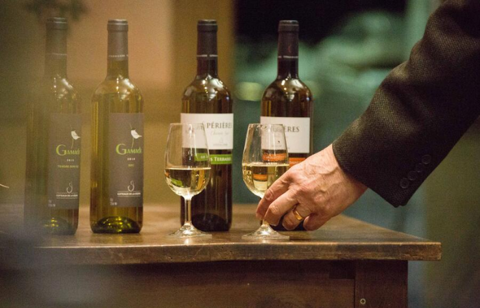 Vignoble du Saillant ©OT Brive