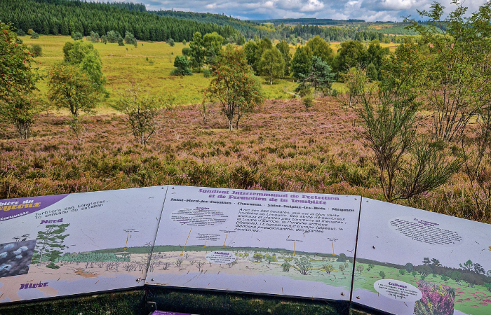 Tourbière du Longeyroux @Julien Audigier