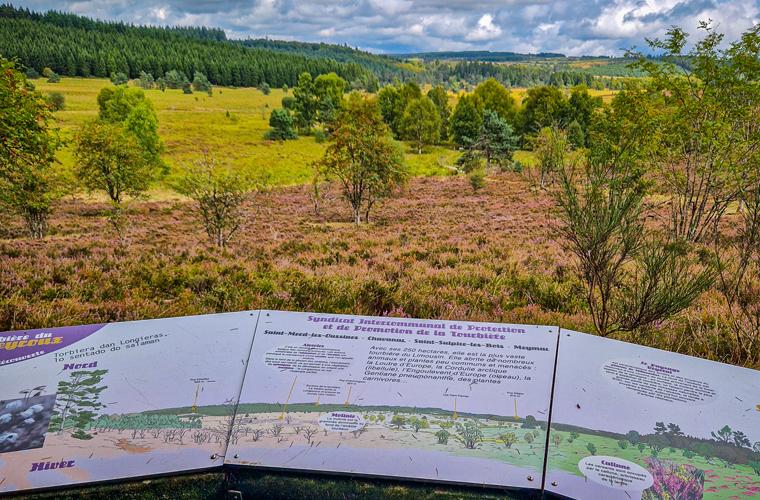 Tourbière du Longeyroux - Photo Julien Audigier
