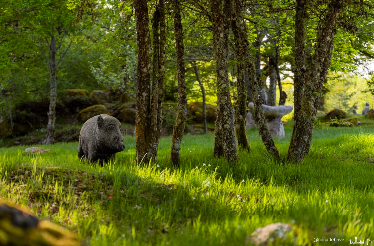 Un village abandonné en Corrèze