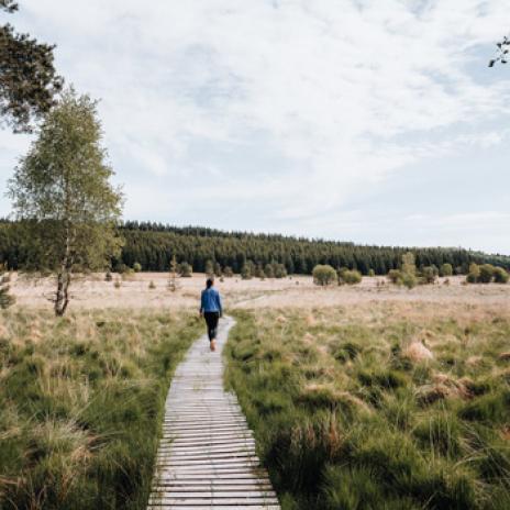 Randonnée tourbière du Longeyroux - Photo les Michmich en vadrouille