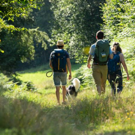 Grande randonnée Corrèze - Photo Malika Turin