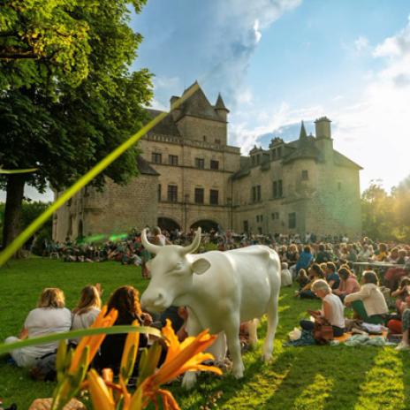 Manifestations artistiques et culturelles