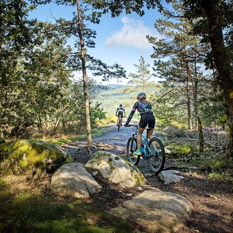 Les parcours d'activités physiques sportives étalonnés (PAPSE)