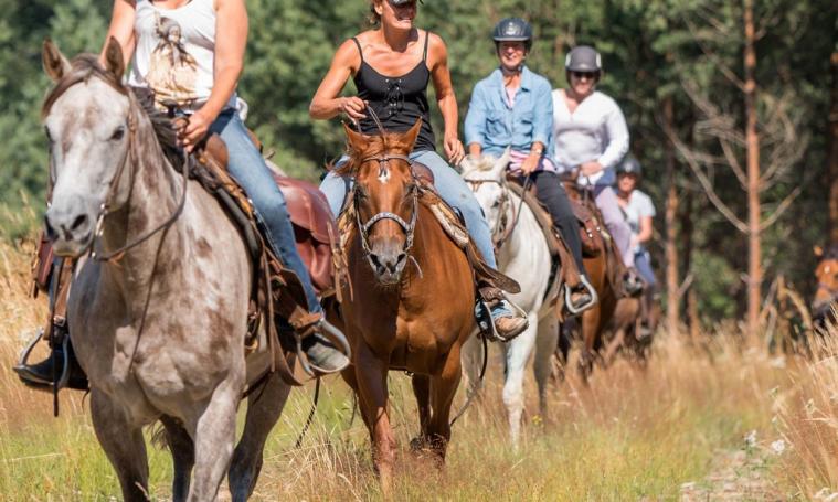 En selle ! Balades à cheval au Texas