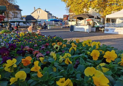 Marché de Pompadour_1