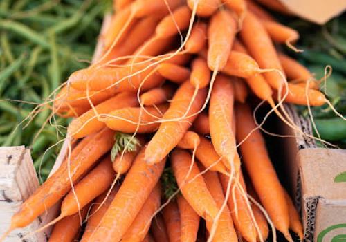 Carottes - Dan Courtice_1 | DAN_COURTICE Carottes - Dan Courtice_1