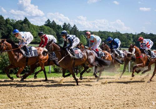 Courses hippiques_1