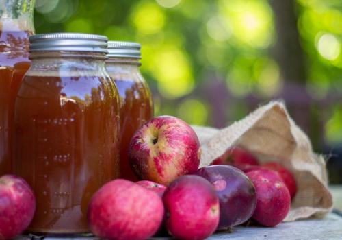Fête de la pomme et du cidre_1 | libre de droit Fête de la pomme et du cidre_1