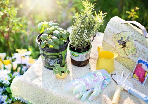 Troc des plantes_1 | LDD Troc des plantes_1