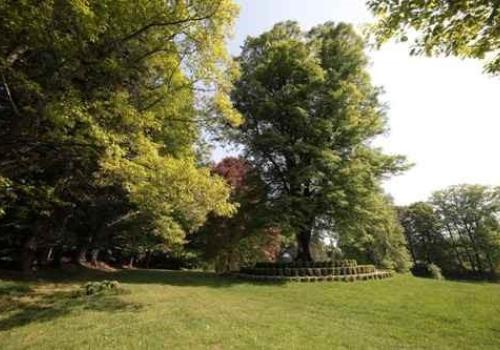 Visite commentée du Parc Arboretum Château de Neuvic... Le 3 mai 2024
