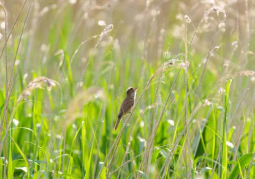istockphoto-1495941056-612x612_1 | unsplash istockphoto-1495941056-612x612_1