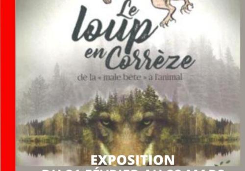 LA CONSERVERIE - Exposition le Loup en Corrèze