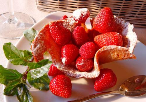 Domaine de Chanet-fraises_1