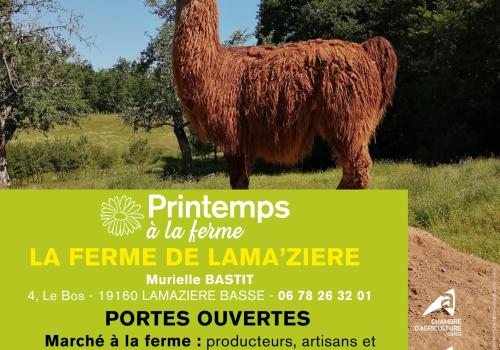 Affiche La ferme de Lamaziere - 1