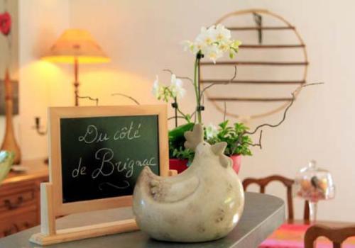 Du Côté de Brignac_1 | GDF 87 Du Côté de Brignac_1