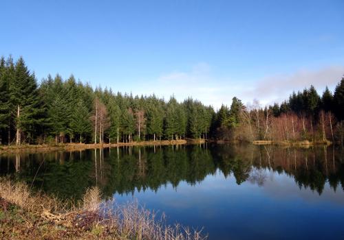 Chemin de la factrice_1 | Juliette Primpier - PNR Millevaches en Limousin Chemin de la factrice_1
