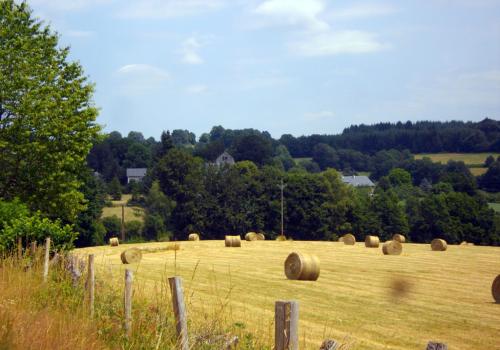 Chemin de campagne_1 | Gilbert SALAT Chemin de campagne_1