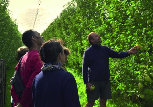Visite du verger_1 | AOP Pomme du Limousin Visite du verger_1