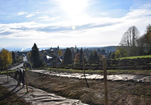 Belvédère du Puy Foissac_1 | Commune d'Egletons Belvédère du Puy Foissac_1