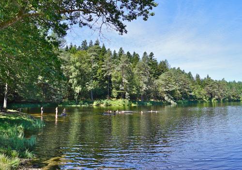 Etang de Laborde_1