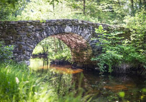 Pont de Varieras_1