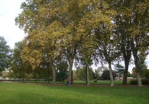 Jardin public de la Guierle_1