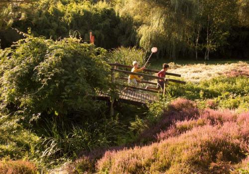 Parc arboretum de Chamberet_1 | © Malika Turin Parc arboretum de Chamberet_1