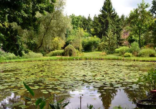 Arboretum AL GAULHIA_1 | P Chatemiche Arboretum AL GAULHIA_1