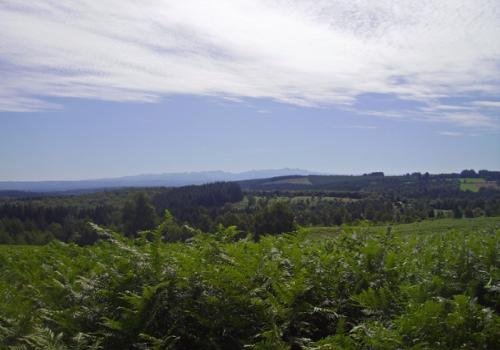 Arboretum du Massif des Agriers_1 | ADRT 19 Arboretum du Massif des Agriers_1