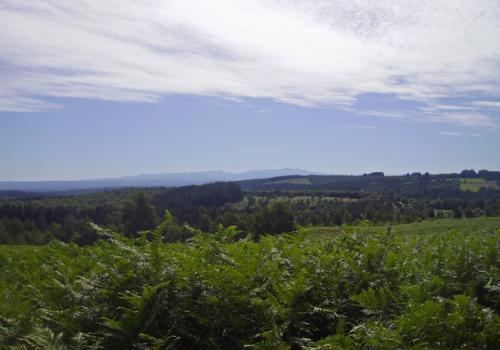 Arboretum du Massif des Agriers_1