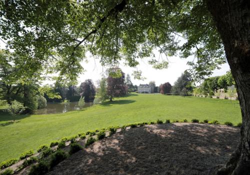 Arboretum du Château de Neuvic d'Ussel_1