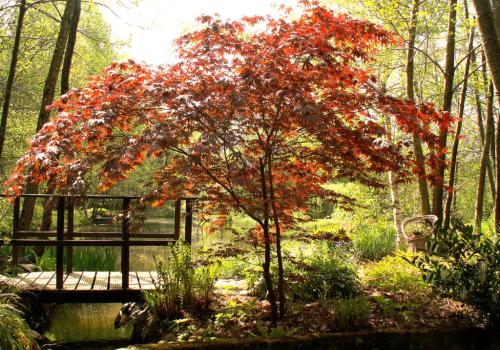 Jardin Grelinette et Pinceaux Sérandon 1 | ©Grelinette et Pinceaux Jardin Grelinette et Pinceaux Sérandon 1