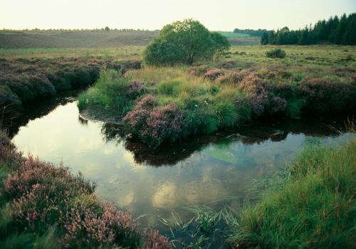 Le Parc naturel régional de Millevaches et ses 14 sites labellisés Natura 2000_1