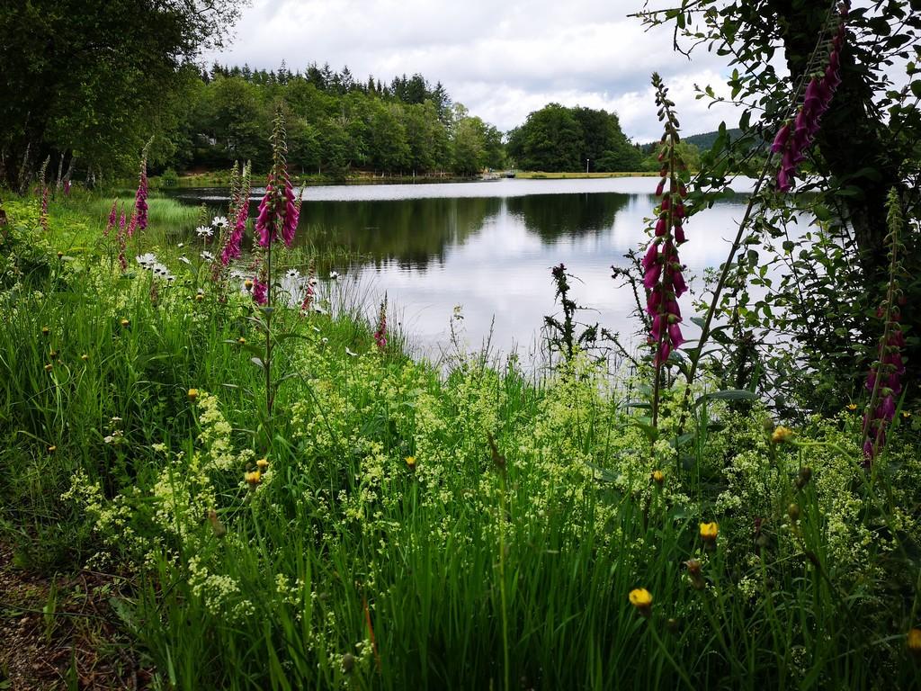Aire d'accueil de camping-cars du camping de Tarnac