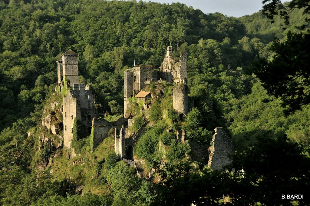 Aire camping-car park de Goulles