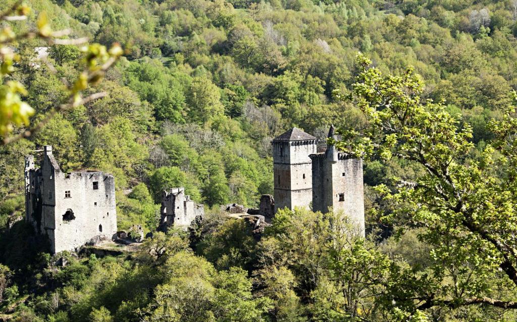 Aire camping-car park de Goulles