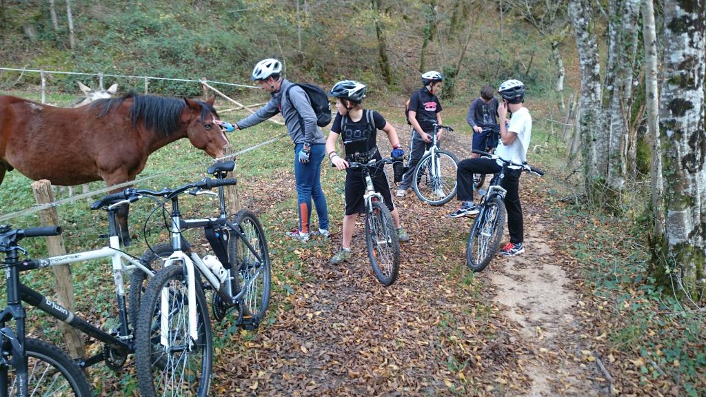 Location VTT et VAE Dordogne Outdoor