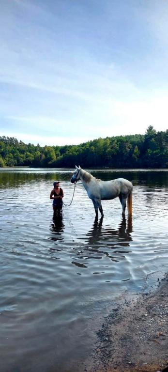 Les Ecuries de Kashi