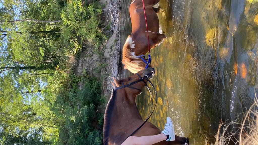 Les Ecuries de la Vallée