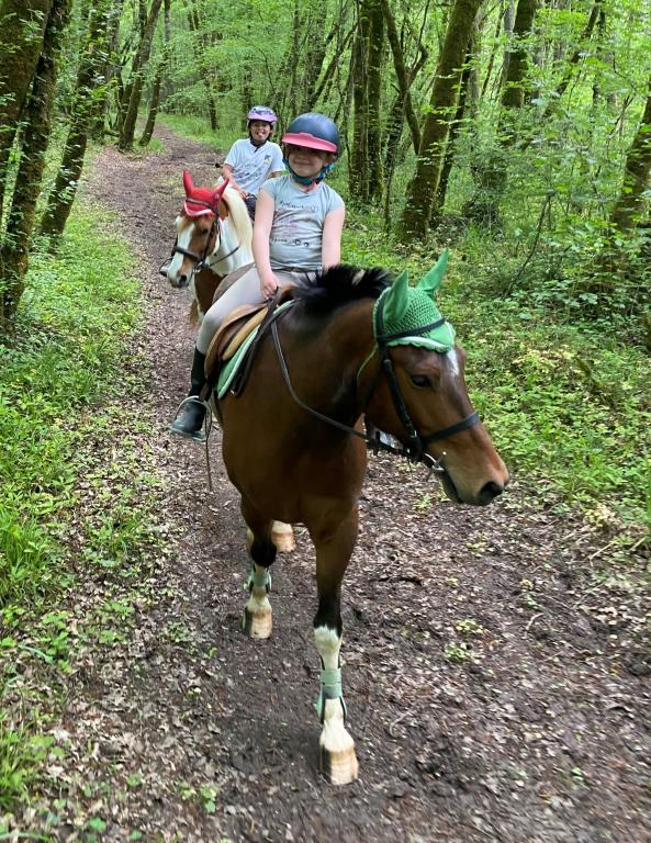 Les Ecuries de la Vallée